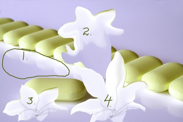 Creation of Lilies in Crystal : Step 6